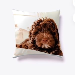 I love my Portuguese water dog pillow